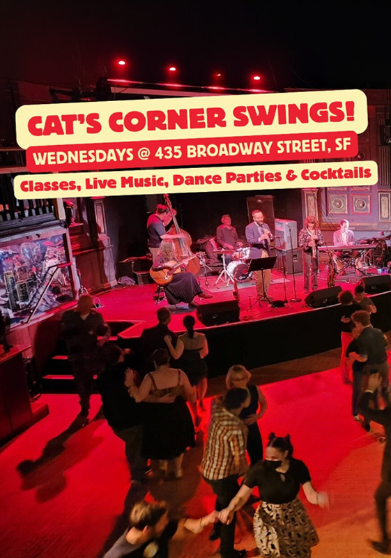 Cat's Corner